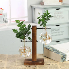 Zen Transparent Indoor desk plants