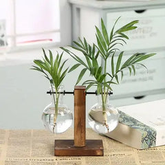 Zen Transparent Indoor desk plants